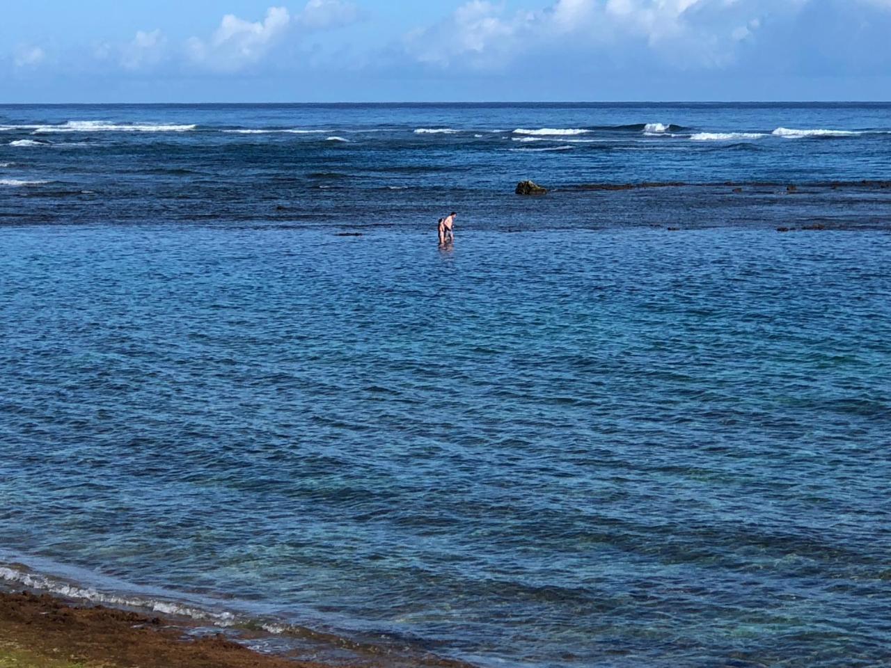 Mokule'Ia Beach Houses At Owen'S Retreat Waialua Экстерьер фото